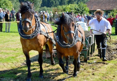 Zugleistungsvergleich Buchet